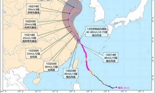 浙江台风路径实时图最新消息_浙江台风路径实时图最新消息查询